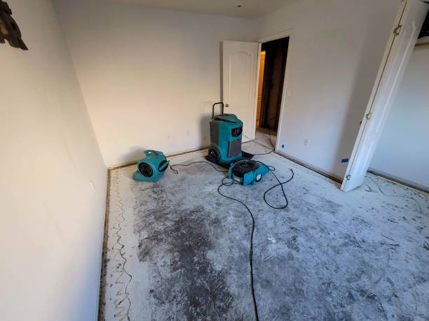 Best Water damage restoration near me  in Old Saybrook Center, CT